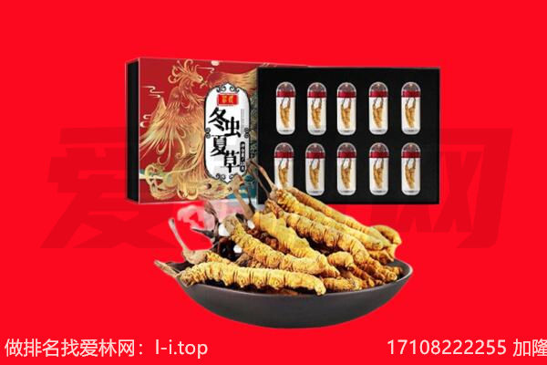 阿坝九寨沟县回收虫草.jpg
